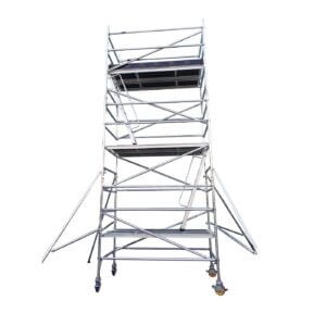 Double Width (140 cm x 255 cm) Inclined Ladder – Platform 7.0 m