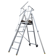 Platform Ladder